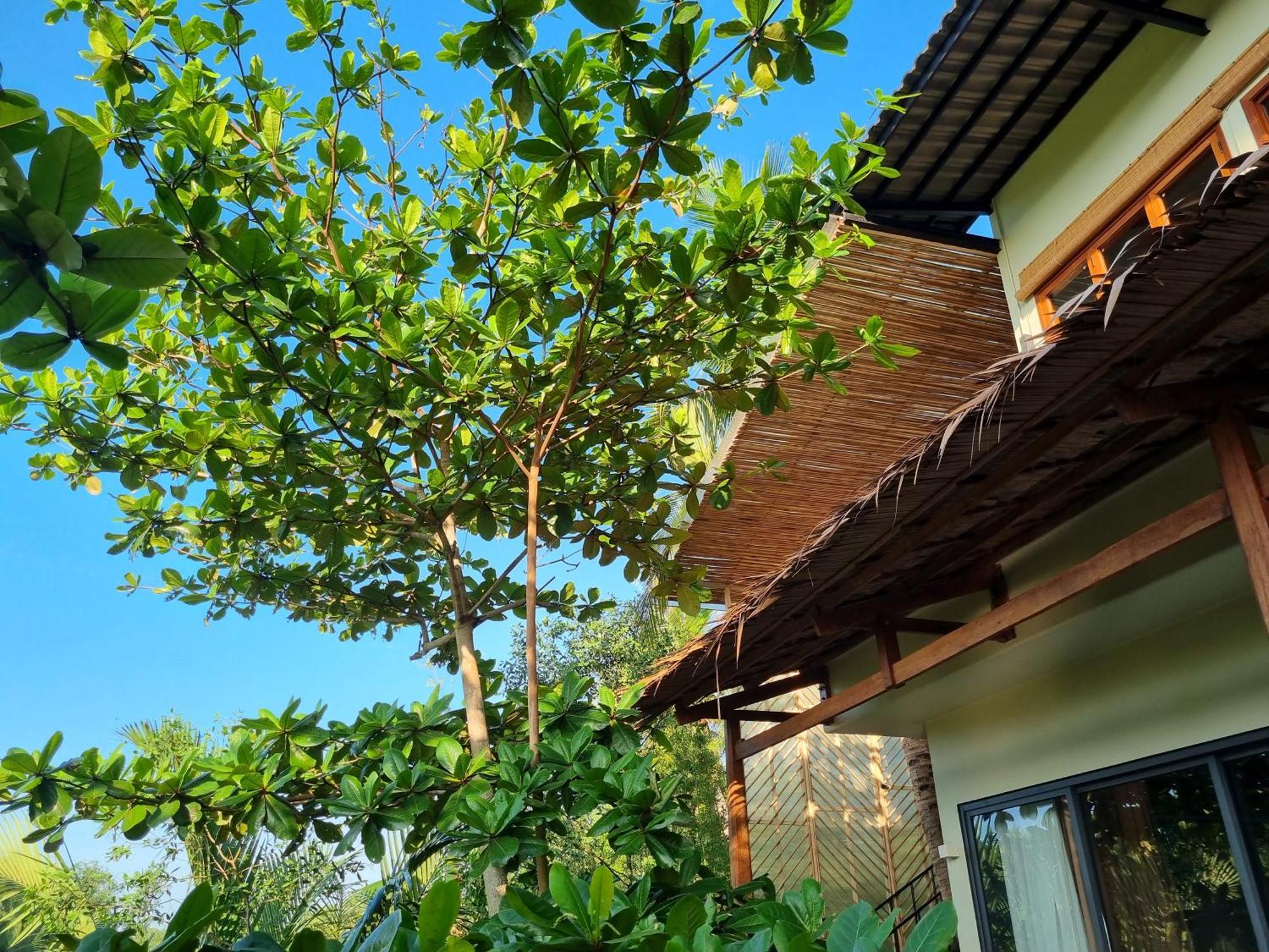 Innerzen Riverside Homestay Ben Tre - Japanese Style Exterior photo